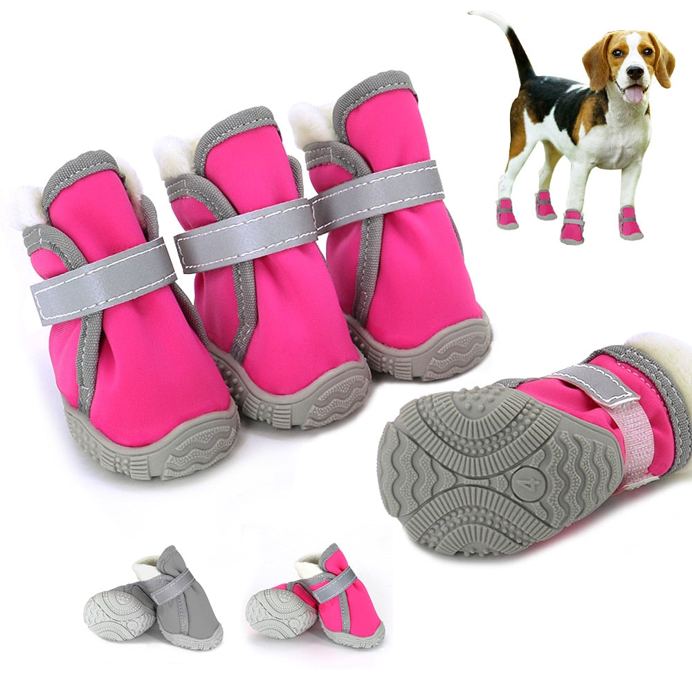 Köpek Ayakkabısı