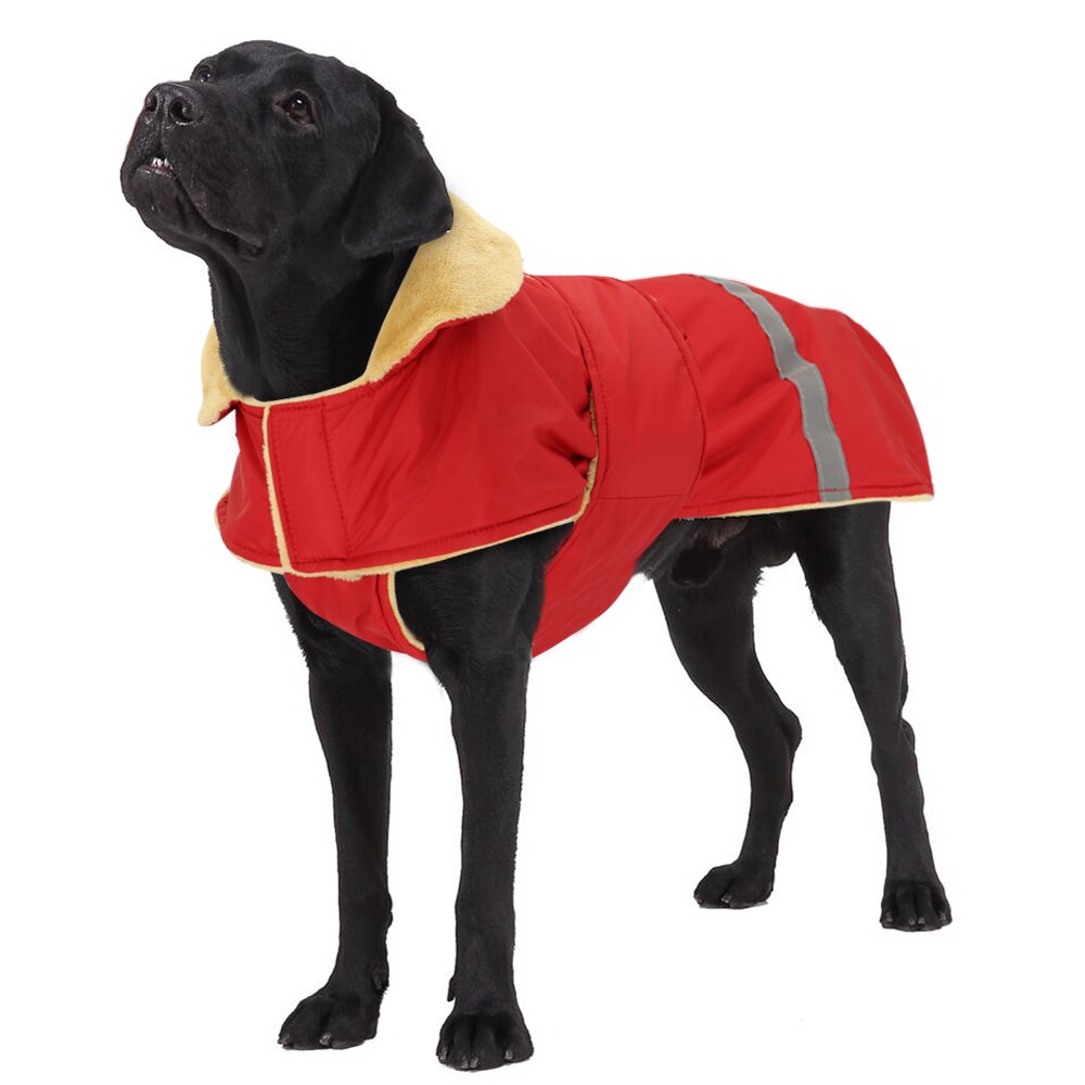Köpek Yağmurluk