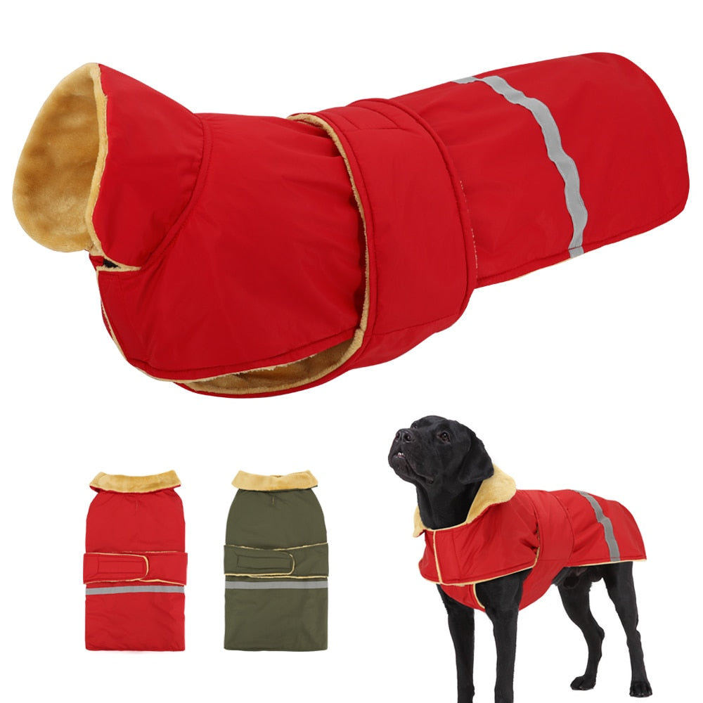 Köpek Yağmurluk
