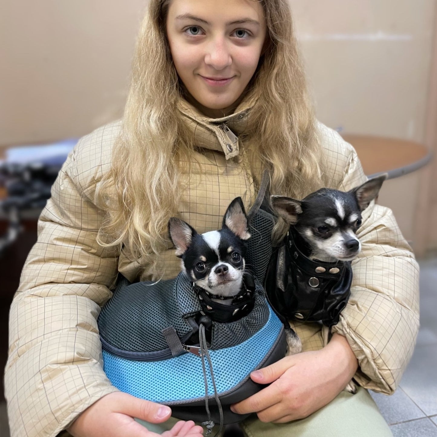 Köpek Çantası 41529035