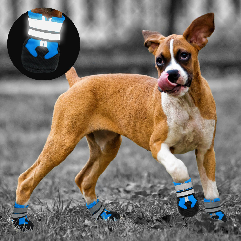 Köpek ayakkabısı hep21.com