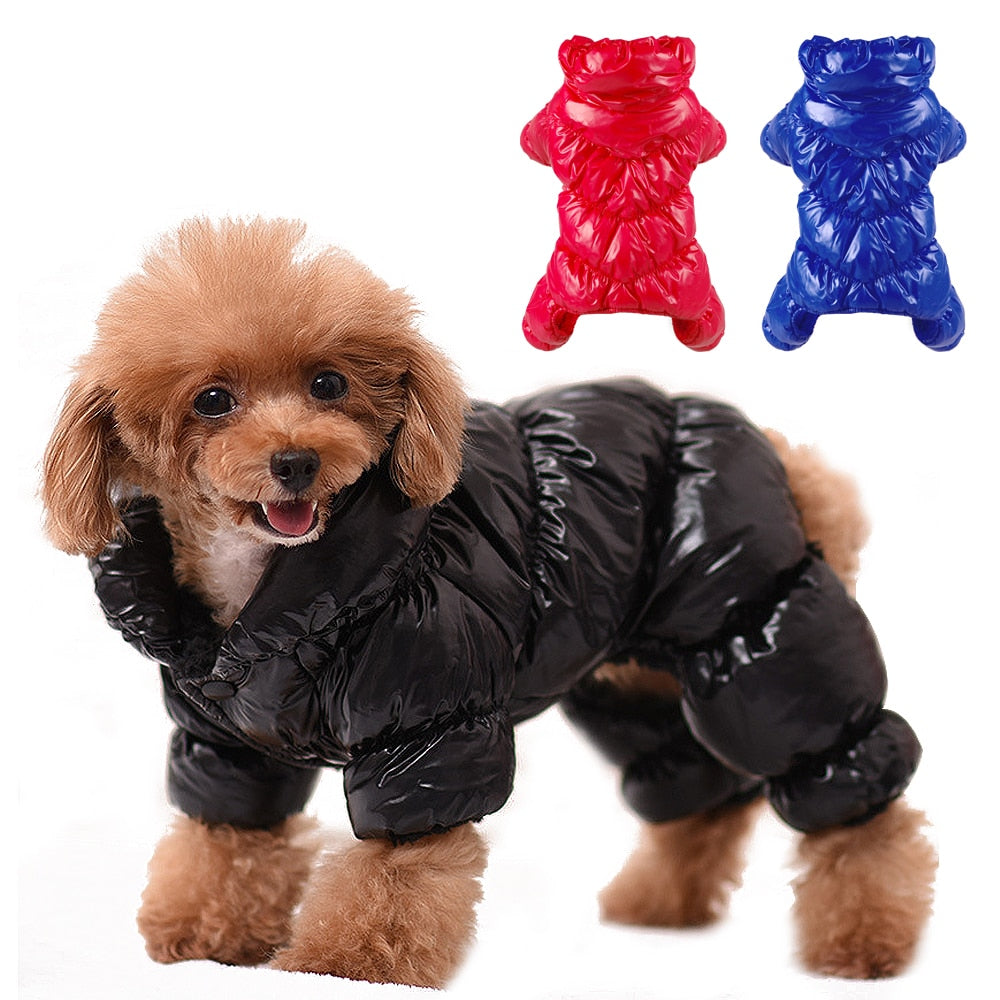 Köpek montu