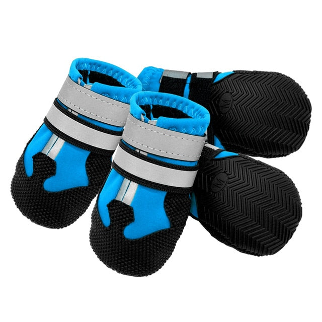 Köpek ayakkabısı hep21.com