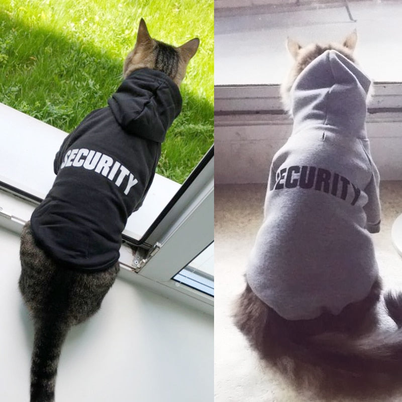 kedi sweatshirt