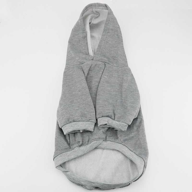 kedi sweatshirt