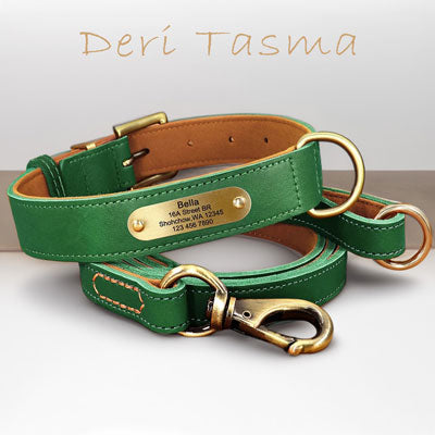 deri köpek tasması