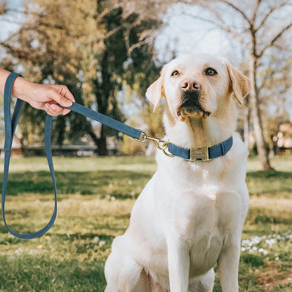 Deri Köpek Tasması 82688