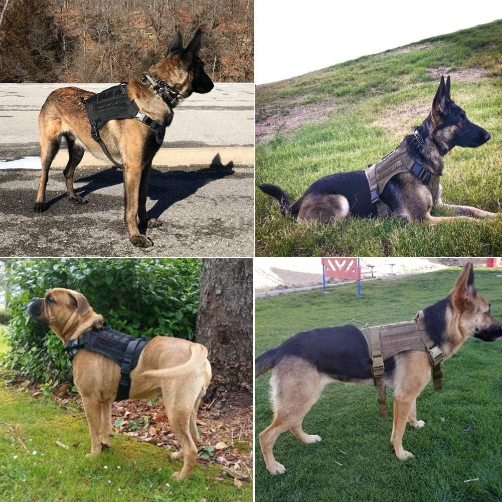 Köpek göğüs tasması kayış Set Tactical 39810022