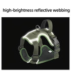 3'lü Taktik Köpek Eğitim Seti Çekiştirme Önleyici Göğüs Tasması 88535