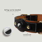Airtag Tasma Airtag Premium Köpek Tasması 207812