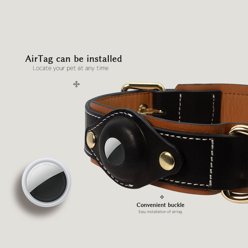 Airtag Tasma Airtag Premium Köpek Tasması 207812