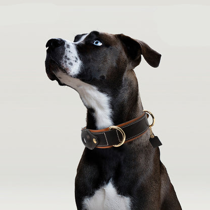 Airtag Tasma Airtag Premium Köpek Tasması 207812