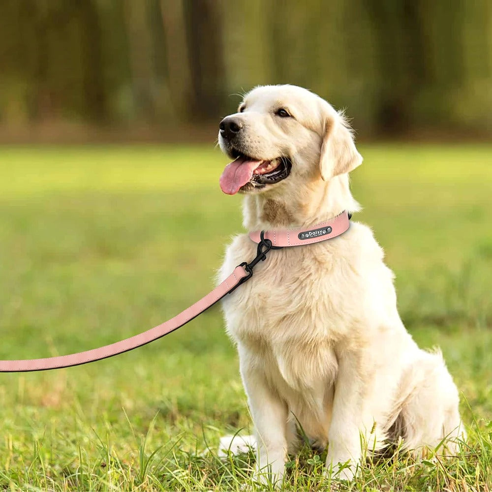 Deri Köpek tasması 05307