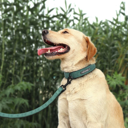 Deri Köpek Tasması İsimli Köpek Tasma Seti 60932