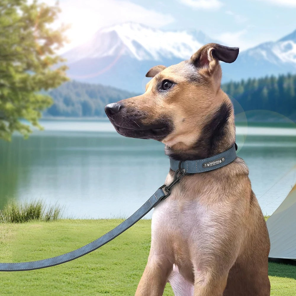 Deri Köpek tasması 05307