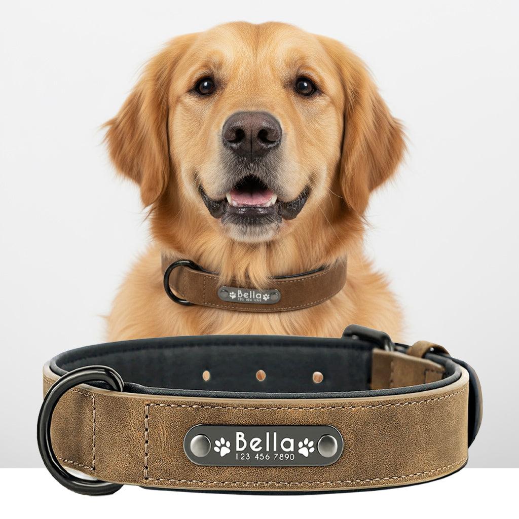 Deri Köpek tasması 05307