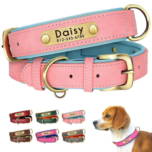Deri Köpek Tasması Yastıklı isimli Boyun Tasması 758250