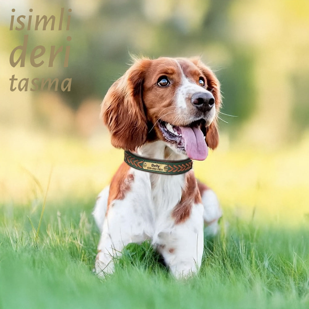 Deri Köpek Tasması 68350
