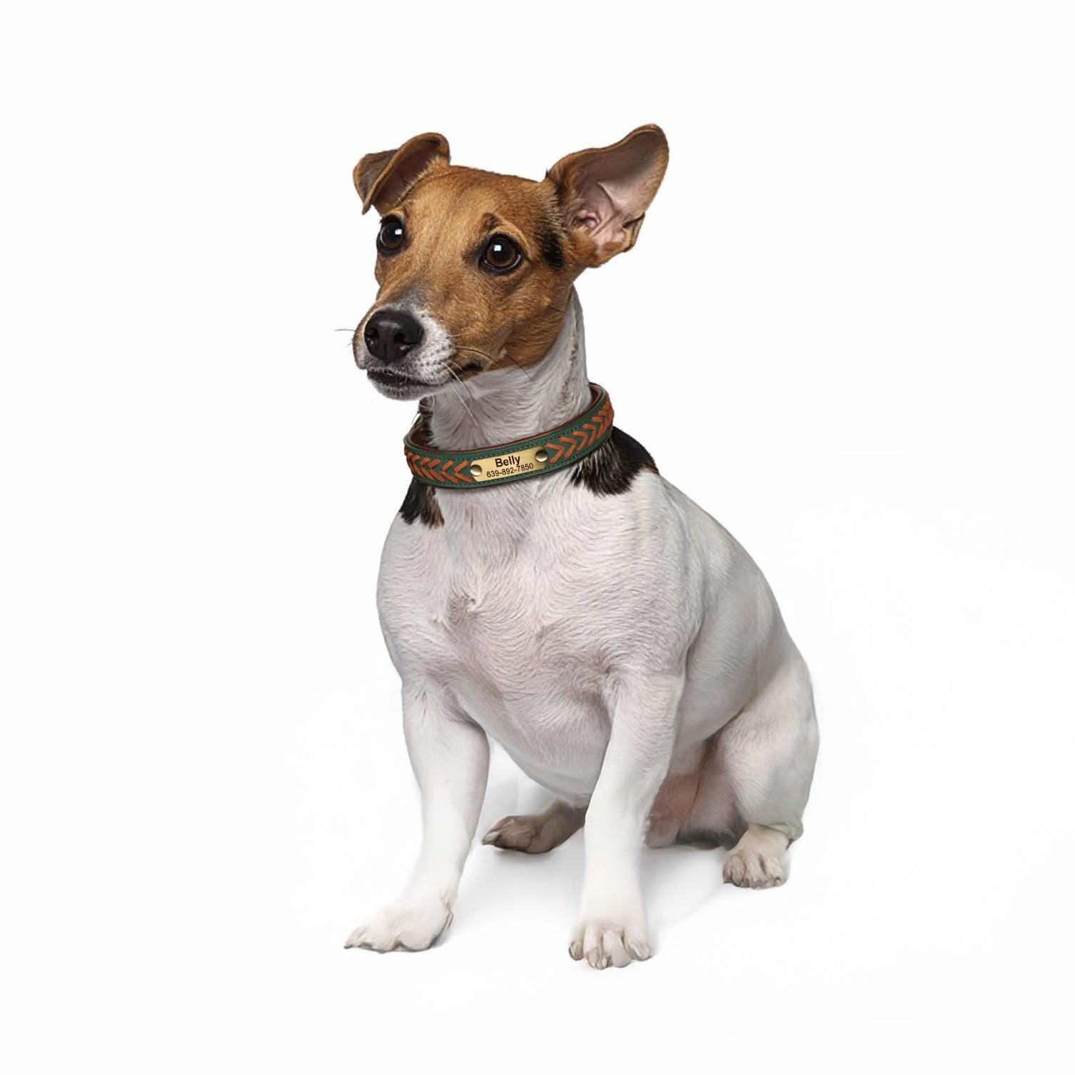 Deri Köpek Tasması 68350