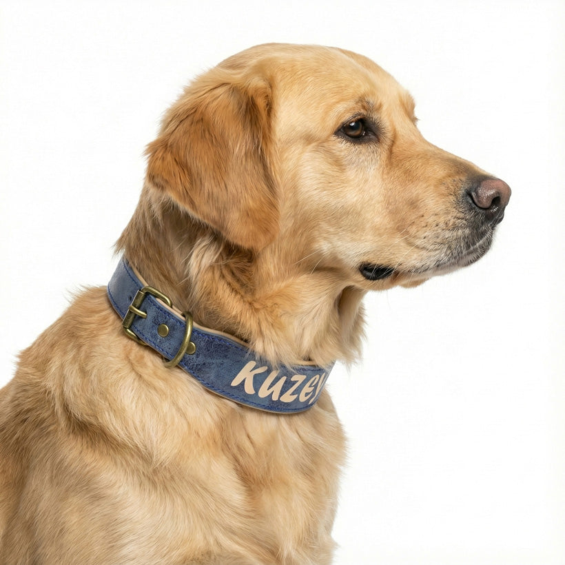 Deri Köpek Tasması Geniş Dolgulu 83100