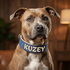 Deri Köpek Tasması Geniş Dolgulu 83100