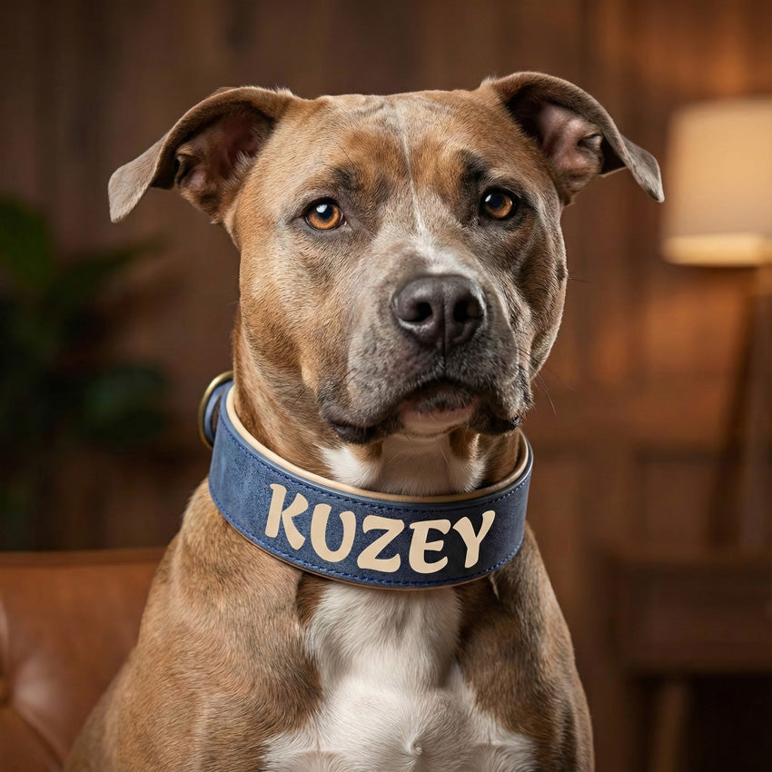 Deri Köpek Tasması Geniş Dolgulu 83100