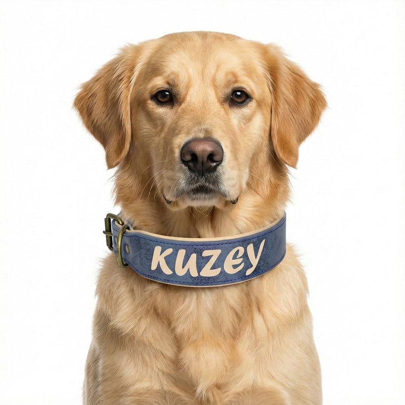 Deri Köpek Tasması Geniş Dolgulu 83100