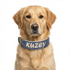 Deri Köpek Tasması Geniş Dolgulu 83100