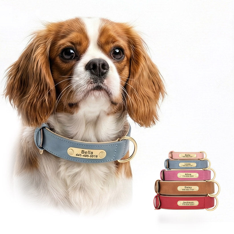 Deri Köpek Tasması İsimli Boyun Tasması 588804