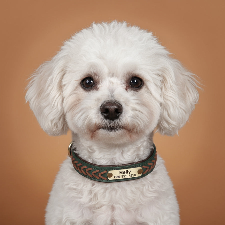 Deri Köpek Tasması 68350