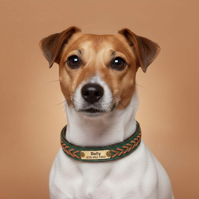Deri Köpek Tasması 68350