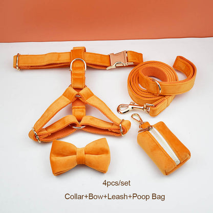 Dog Collar Named Orange Velvet Collar 865315