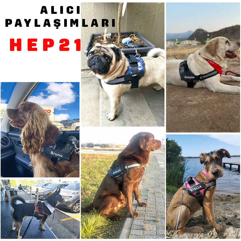 Köpek Göğüs Tasması İSİMLİ 28219358