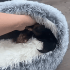 Kedi Yatağı Peluş Köpek Yatağı 91146