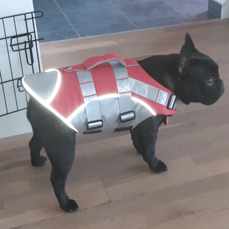 Köpek Can Yeleği Yansıtıcı Reflective Yüzme Yeleği 24842