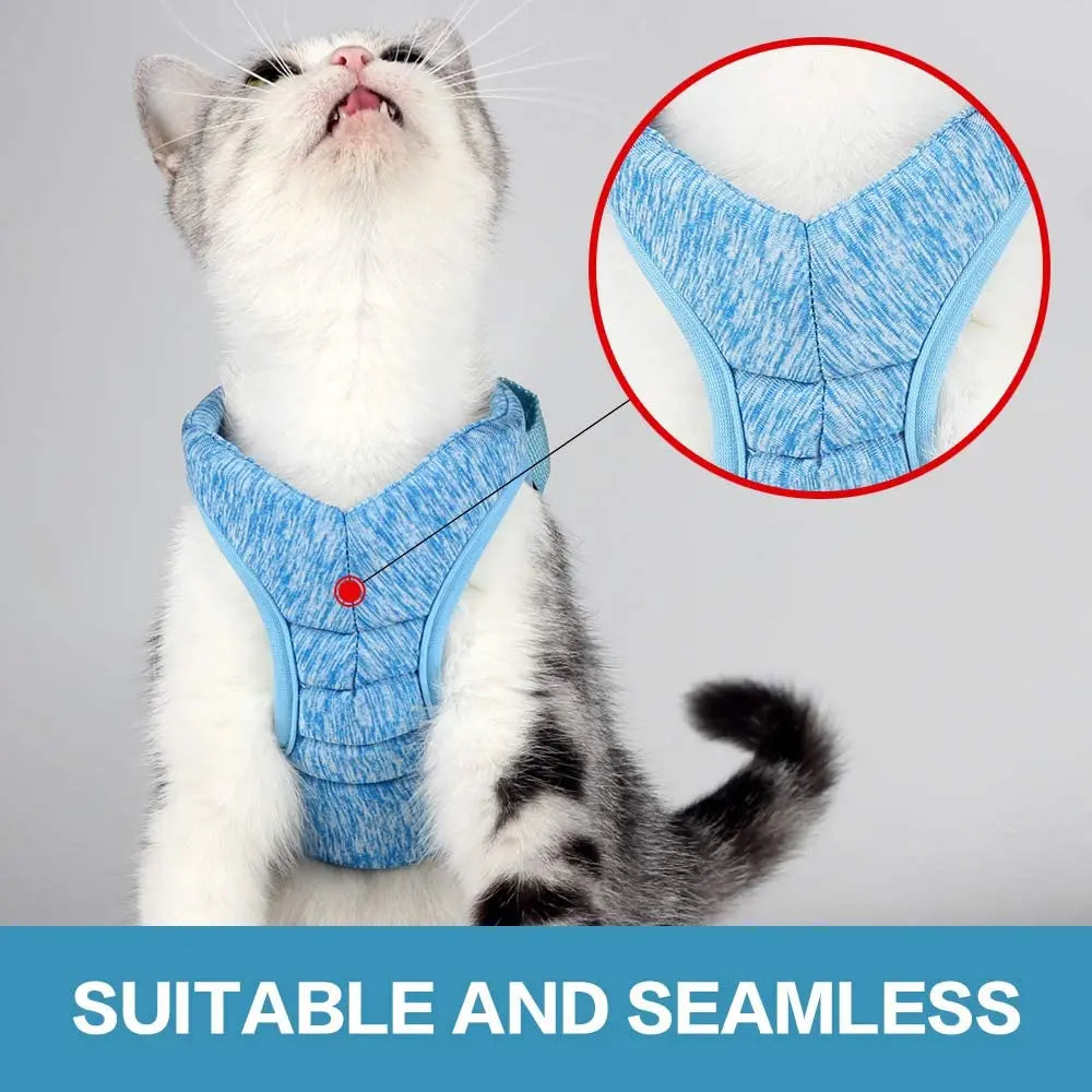Kedi Göğüs Tasması ve Kayış Seti 88598