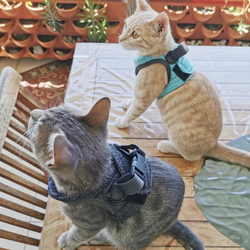 Kedi Göğüs Tasması ve Kayış Seti 88598