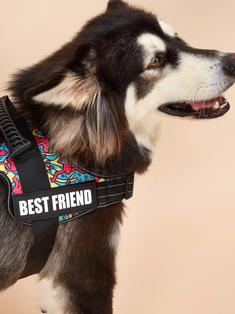Köpek Göğüs Tasması İSİMLİ Reflective 84076