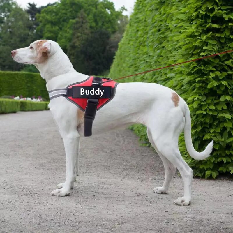 Köpek Göğüs Tasması İSİMLİ Yansıtıcı 28219358