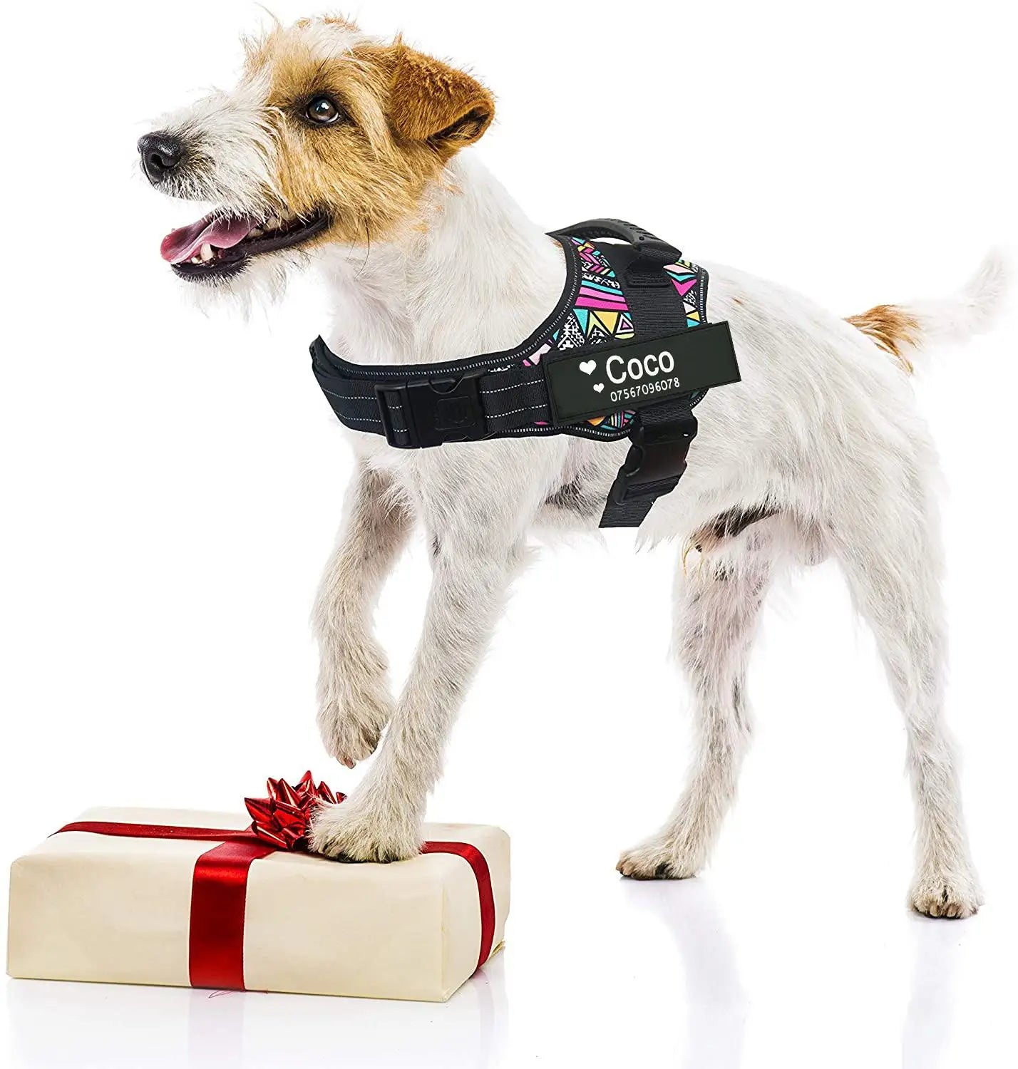 Köpek Göğüs Tasması İSİMLİ Reflective 84076