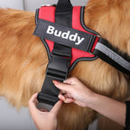 Köpek Göğüs Tasması İSİMLİ 28219358