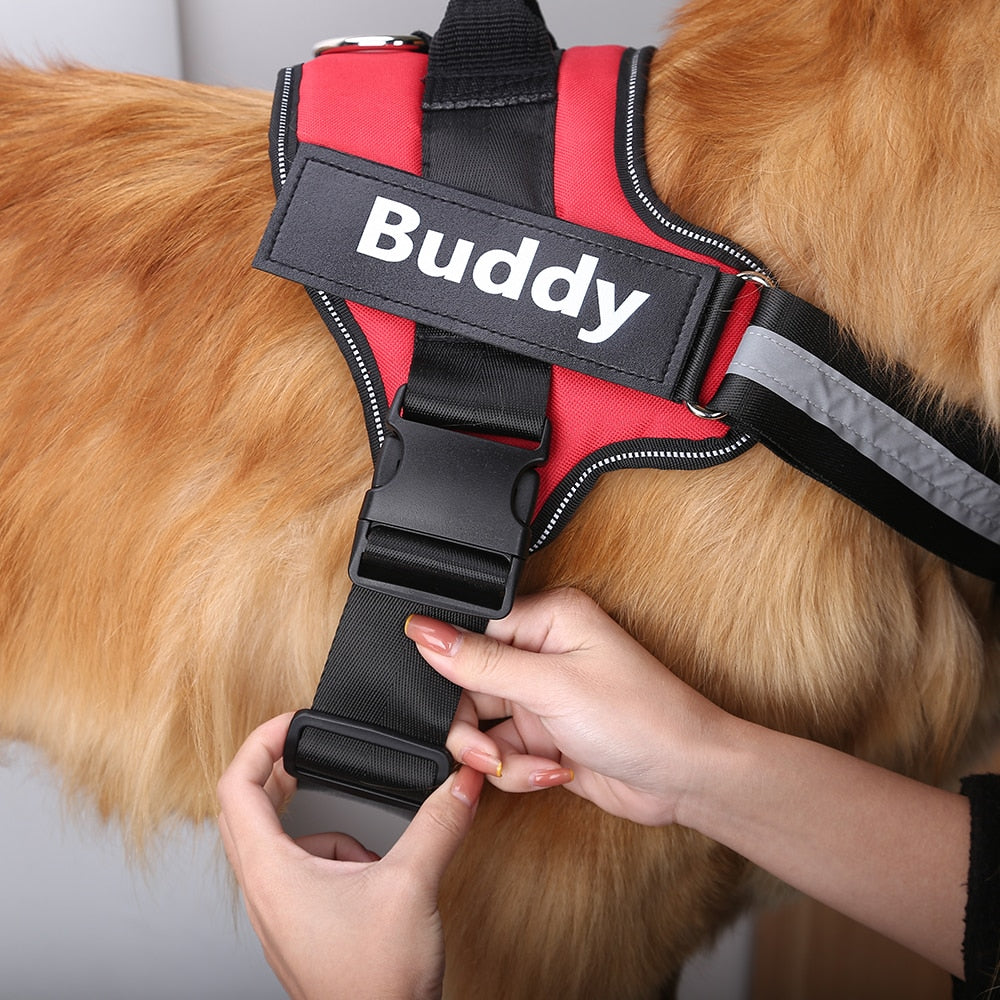 Köpek Göğüs Tasması İSİMLİ 28219358