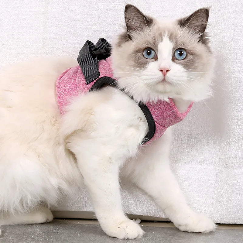 Kedi Göğüs Tasması ve Kayış Seti 88598