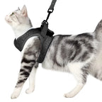 Kedi Göğüs Tasması ve Kayış Seti 88598