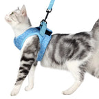 Kedi Göğüs Tasması ve Kayış Seti 88598