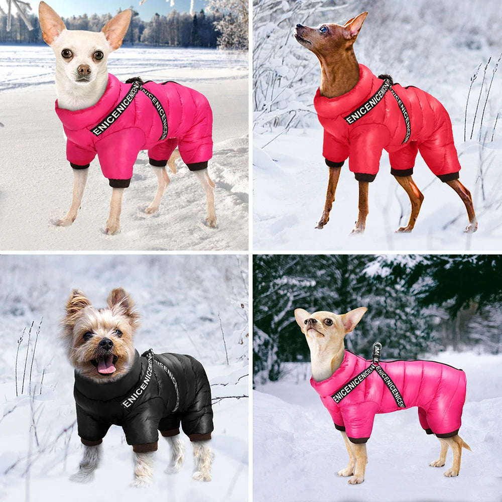 Köpek Yağmurluk Mont Tulum 65032