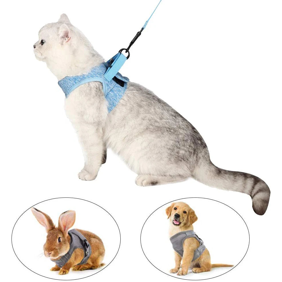 Kedi Göğüs Tasması ve Kayış Seti 88598