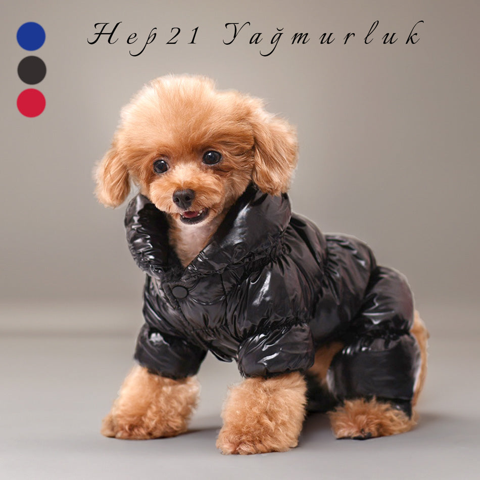 Köpek montu 19564699
