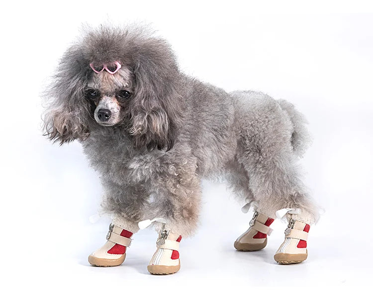 Köpek Ayakkabısı 83570