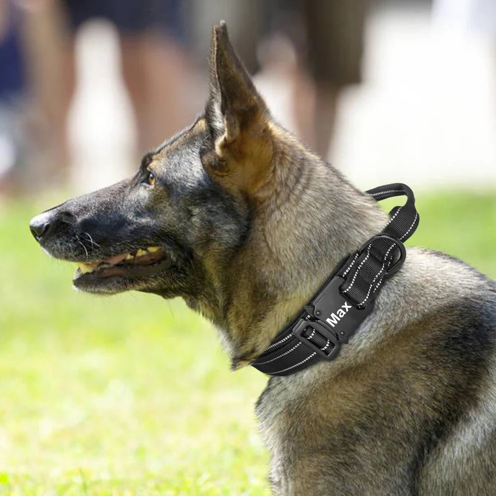 Taktik Köpek tasması İsimli 34487